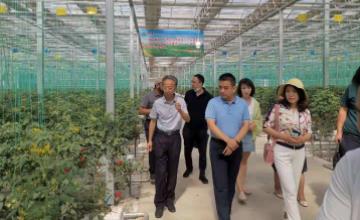 中国农机学会组织“科创中国”科技服务团专家 再赴巴彦淖尔对设施农业进行调研